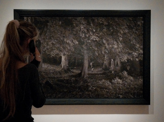 A poto taken in a museum gallery: a person stands observing a large framed photograph of a dim forest scene with trees and distant figures.