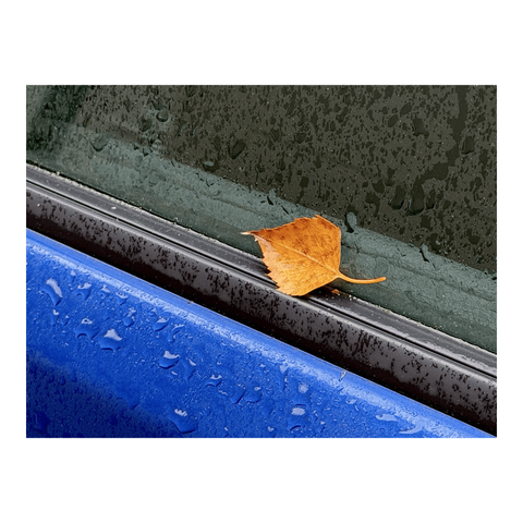 Close-up of a blue car door wet with raindrops. A birch leaf in autumn colours has landed on the window. (Version françæ) Grox plan sur æn portière de voiture bleux mouillæ par des gouttes de pluie. Æn feuille de bouleau aux couleurs d’automne a atterri sur læ vitre.