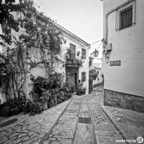 A narrow, cobblestone street winds through a quaint, whitewashed village, featuring lush greenery and potted plants. The scene captures a blend of rustic architecture and charming details, with a street sign partially visible on the wall.