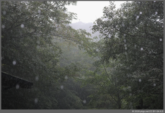 Yakushima, Kagoshima-ken, Japan.