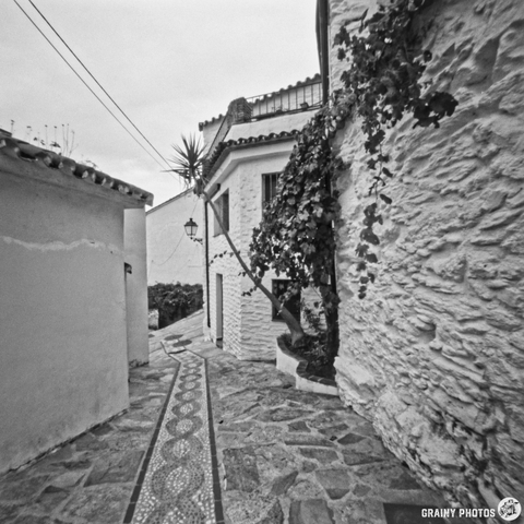 A narrow cobblestone alleyway leads through whitewashed buildings adorned with lush greenery. The path is lined with a decorative tile pattern, and a lantern hangs from one of the walls, creating a charming atmosphere in this serene, monochromatic scene.