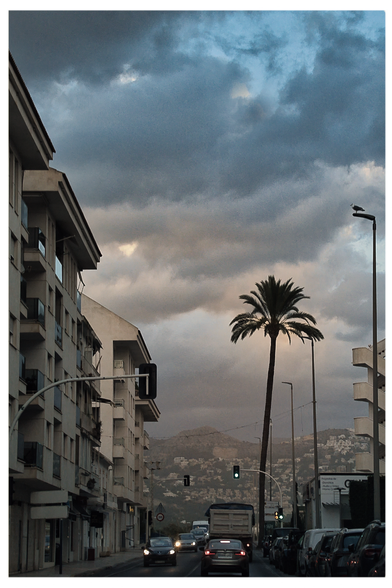 Hochformat: auf der N332 in der Abenddämmerung unterwegs. Die Autos haben bereits Licht an, links eine Häuserfront, rechts eine hohe Palme, die Straßenbeleuchtung ist noch aus. ganz rechts sitzt eine Möwe auf der Laterne. Der Himmel ist abendlich zart bewölkt, Novemberlicht.