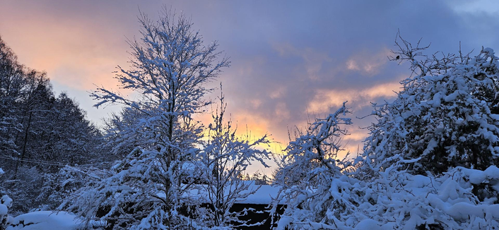 A winter landscape at dusk features snow-covered trees under a sky with warm orange near the horizon transitioning to purple and grey clouds above. Multiple trees are laden with thick snow, including a central tree with sparse branches and surrounding dense, snow-laden bushes. A low, snow-covered structure is visible in the midground. The scene has no text.

Provided by @altbot, generated privately and locally using Qwen3-Vl:30b

🌱 Energy used: 0.052 Wh