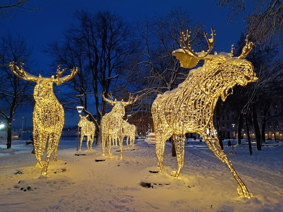 Light installation at Nybroplan, Stockholm. Seven elks (mooses). They are made of a metal grid and is then covered in a mesh of small lights. Photo is shot from front so the elks appear to run towards the photographer. 