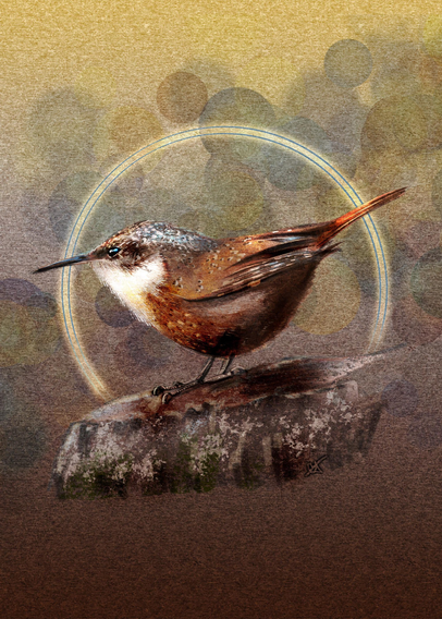 Illustration of a russet brown Canyon Wren perched on a rock. Behind the bird is a tan paper background with a bokeh lighting effect in soft greens, blues, and yellows and a halo of white light.
