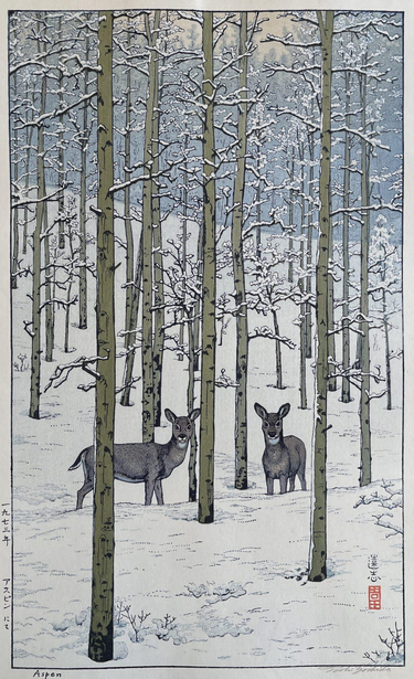 de jeunes cervidés surpris dans la forêt enneigée