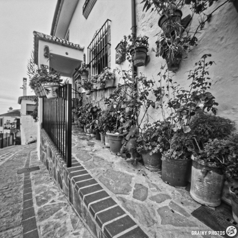 A monochrome image of a quaint pathway lined with potted plants and flowers, leading up to a charming white building with a tiled roof and wrought iron fence, evoking a serene and inviting atmosphere.