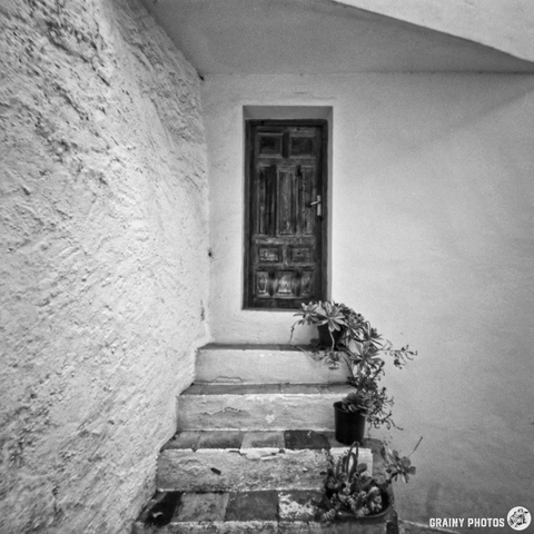 A narrow staircase leads to a wooden door, framed by white walls. Small potted plants sit on the steps, adding a touch of greenery to the monochrome scene.