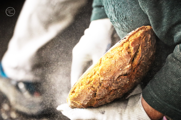 Von einem frisch gebackenen Brot wird mit einer Bürste die vom Holzofen übriggebliebene Asche abgeschrubt.
