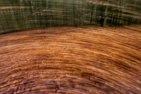 Die Fotografie ist ein abstraktes Bild mit starker Bewegungsunschärfe. Der untere Teil ist dominiert von warmen Orange- und Brauntönen, die in wirbelnden, horizontalen Linien angeordnet sind und an die Textur von  Laub erinnern. Der obere Teil zeigt dunklere, verwischte Grüntöne in horizontalen Streifen, die einen abstrakten Wald darstellen. Das Bild erzeugt ein dynamisches Gefühl von Bewegung durch die künstlerische Technik.