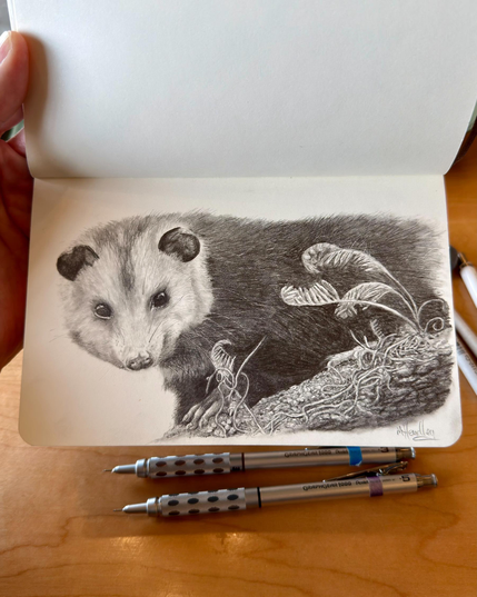 Realistic graphite sketch of an opossum in a sketchbook, featuring detailed fur texture and vines drawn in negative space, with two mechanical pencils below.