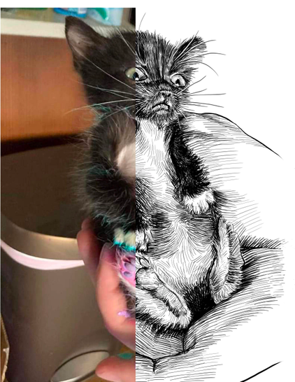 Black and white drawing of a kitten named Tiny Tim held in hands, with the left half of the image being the reference.