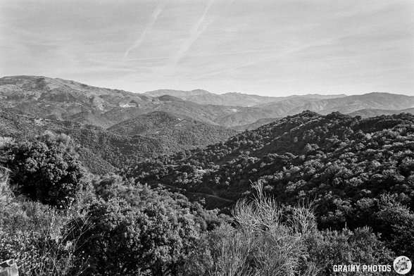 A serene black and white landscape showcasing rolling hills and mountains, adorned with dense foliage and trees, under a clear sky with wispy clouds, capturing the tranquility of nature.