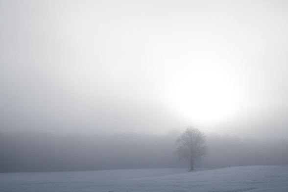 Ein einzelner Baum steht auf einem schneebedeckten Feld in nebliger Landschaft mit schwach sichtbarem Sonnenlicht.