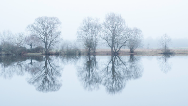 Blick über eine ruhigen stillen See zum anderen Ufer. Dort stehen am Rand diverse Bäume, die sich auf der glatten Oberfläche vom See spiegeln.