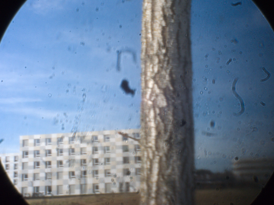 Photo of dirt on my sensor and dunst in my lens