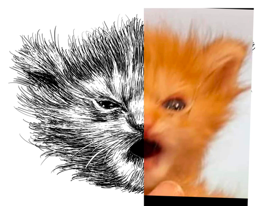 Black and white drawing of an orange kitten named Tater Tot with an angry face, with the right half of the image being the reference.