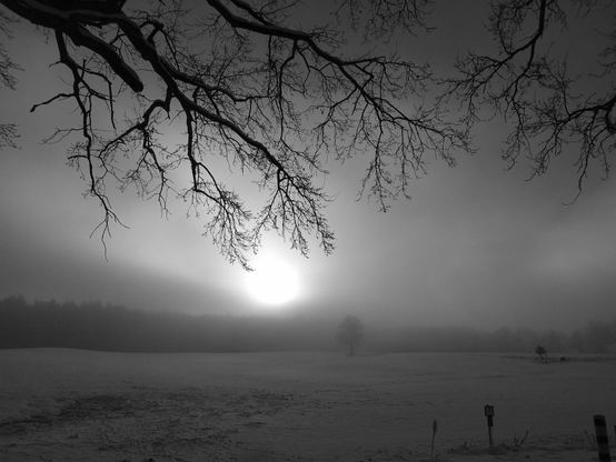 Von oben ragen dunkle Äste in das Bild. Ansonsten sieht man ein große Fläche die mit Schnee bedeckt ist. Dahinter sieht man einen Wald. Die Sonne scheint über diesem Wald in einem dunstigen Licht, was die Stimmung des Bildes verstärkt.  
