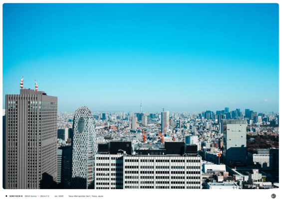 도쿄 도청에서 바라 본 도쿄의 모습. 멀리 스카이트리가 보임.