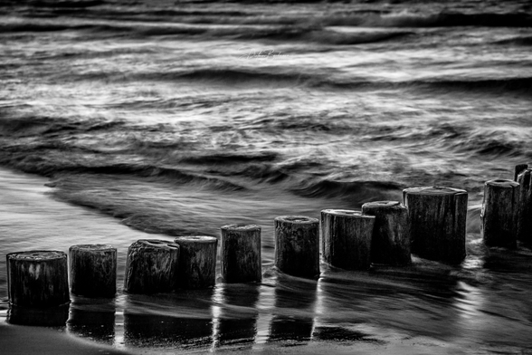 Black and white photograph of wooden posts partially submerged in a beach shoreline, with gentle waves rolling in. The scene captures a calm, serene atmosphere.