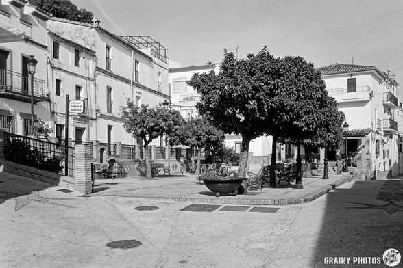 The town square in Algatocín featuring a large tree, benches, and charming buildings in a black-and-white setting. The cobblestone path leads to a welcoming atmosphere, perfect for relaxation and leisurely strolls.