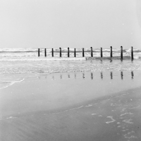 Black-and-white photograph of the Gulf of Mexico shoreline at Padre Island National Seashore. A row of wooden pilings stands in shallow water, waves breaking behind them. Wet sand in the foreground reflects the posts and the overcast sky, creating a calm, minimal coastal scene