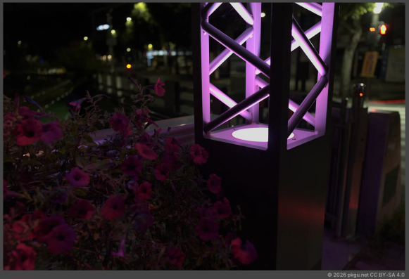 Shinrim, Seoul, Korea.