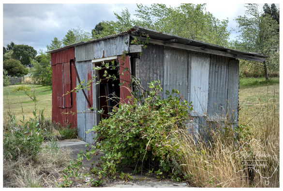 A photo of a small, dilapidated shed made of corrugated iron. The shed is surrounded by overgrown grasses and thick brambles that partially obscure the doorway.  The front of the shed is a patchwork of rusted red and oxidized grey metal, with a lean to roof. The surrounding field is dry and grassy, with trees visible in the distance under a cloudy sky.
