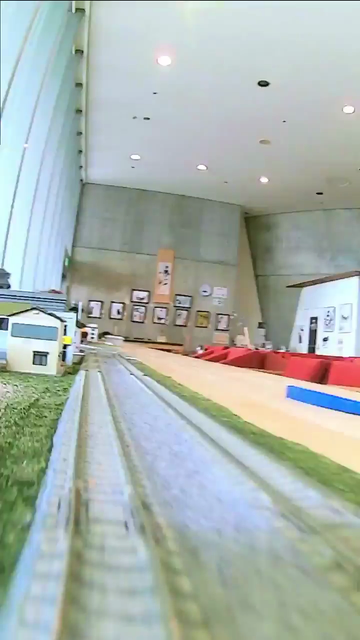 un train électrique est immobilisé en pleine voie par le coup de patte d’un chat