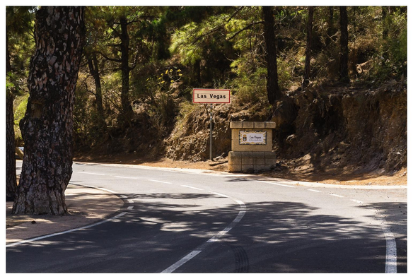 Kleine Landstraße im Wald. Auf Schildern steht "Las Vegas".