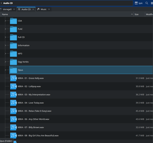 list of virtual format folders OGG OPUS MP3 FLAC etc