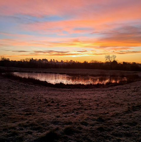 A frozen lake bordered by iced grass beneath an orange red sky.