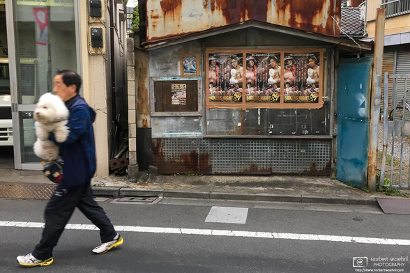 A man carrying a big white dog while walking away from a dilapidated old kiosk decorated with boxing promotion signs in the Itabashi Ward of Tokyo, Japan.