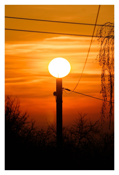 Foto im Hochformat. Kurz vor Sonnenuntergang. Die glühend gelbe Sonne steht tief am orange-roten Himmel. Wolkenstreifen sind um sie herum. Im Vordergrund ist die Silhouette eines hölzernen Masten von dem Leitungen abgehen. Die Sonne sitzt genau auf der Spitze des Masten und so sieht es aus wie ein Lutscher oder ein Mikrofon. Unten und rechts sind die Silhouetten von kahlen Bäumen. Oben verlaufen noch zwei Leitungen.