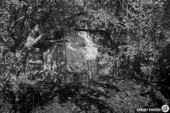 A rustic, weathered cabin partially hidden by trees, surrounded by rocky terrain and overgrown vegetation, evokes a sense of solitude and nature's tranquility. The image is presented in black and white, enhancing its timeless charm.