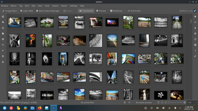 A picture of the Digikam app running in linux showing a fullscreen of image thumbnails. 