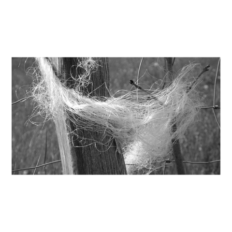 Dishevelled string wound around a fence post. (Version françæ) Ficelle échevelæ enroulæ autour d’æn poteau de clôture.
