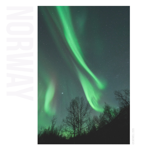 Nordlys dancing from the south on a 14mm lens.