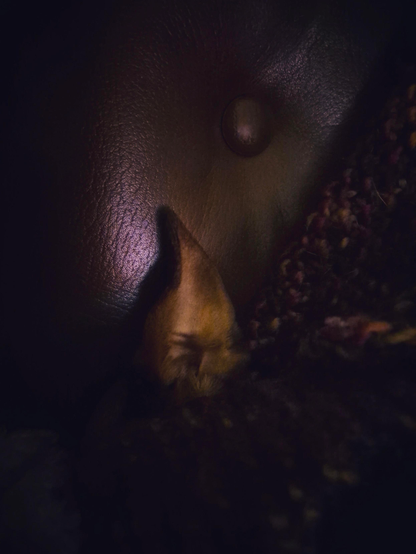 A dog's ear is sticking out from underneath a wool blanket and is leaning up against the back of a brown leather chair. The ear and part of the chair are partially illuminated by soft lightning, else is the room dark.