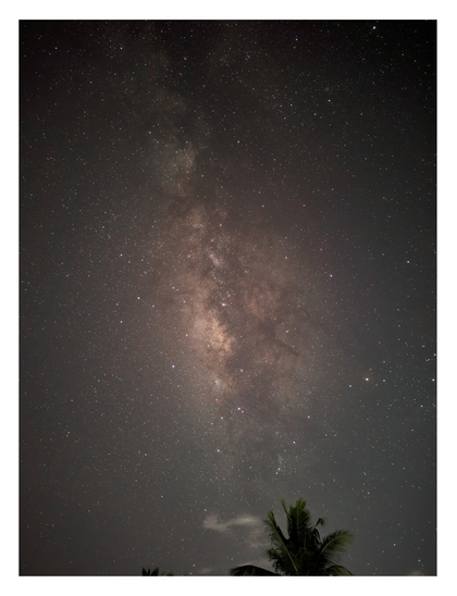 Another Milky Way photo, but in portrait. The trees' leaves are shown in the background on the bottom center of the photo.