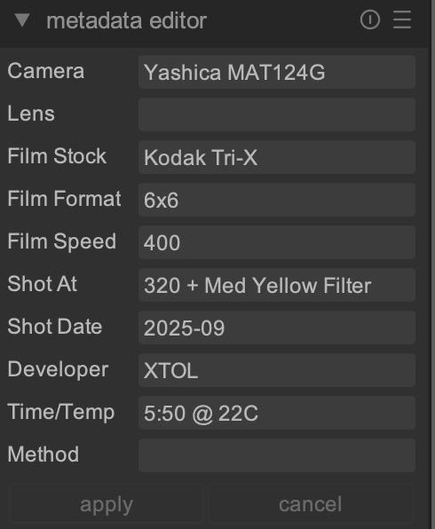 Light table metadata editor
