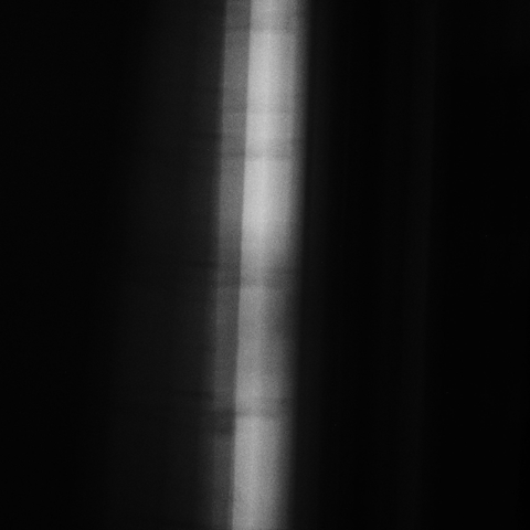 A black and white out of focus picture of a birch tree set against a pure black background. The trunk of the tree is the only thing showing and subtle tectures of the bark can just be seen.