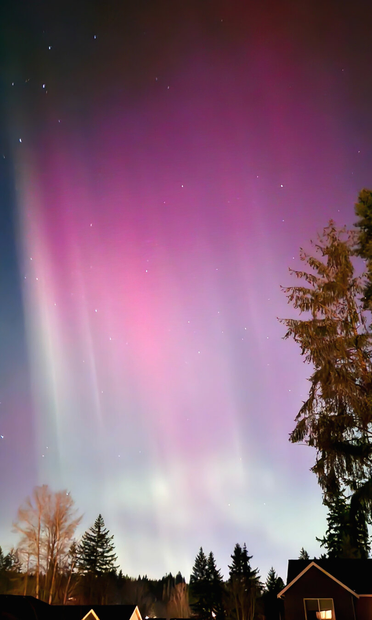 A night photograph of a vibrant aurora borealis display over a suburban neighborhood. Tall, vertical pillars of light in shades of deep pink and magenta stretch toward the top of the frame, blending into a soft purple and white glow near the horizon. The dark night sky is dotted with several bright stars. In the foreground, the dark silhouettes of evergreen trees and the pointed rooflines of houses are visible against the glowing sky.