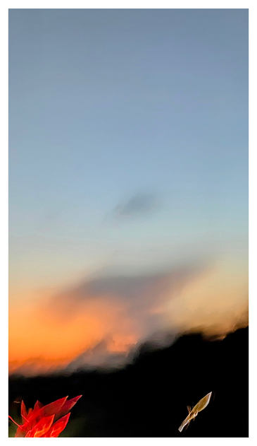 soft-focus abstract of the sun setting behind a treeline in the distance with mystery shapes at bottom