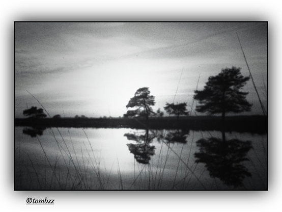 A black and white analog photograph showing a quiet riverside landscape. Slim trees line the bank, their reflections forming an almost perfect symmetry on the still surface of the water. The foreground is filled with softly outlined grasses, slightly bent as if touched by a faint breeze. Above the horizon stretches a layer of delicate, blurred clouds with gentle light behind them, suggesting either sunrise or sunset. The entire scene has a soft, grainy texture that deepens the sense of calm and a dreamlike pause in time.