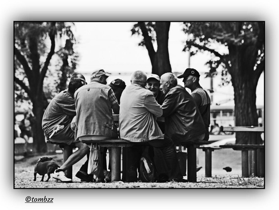 A black and white street photograph shows eight elderly men gathered around a round stone table in a park. They are playing cards, leaning in with focus and engagement. Their clothing varies, with some in light t-shirts and shorts and others in jackets and long trousers; a few wear baseball caps while others sit bareheaded. Beneath the table lie shopping bags, tote bags and backpacks, as if each brought something along. On the left side of the frame stands a dog, a calm observer of this everyday scene. In the background, blurred trees and benches complete the setting, while the soft, grainy texture of the image emphasizes the warmth and authenticity of this fleeting moment of companionship.