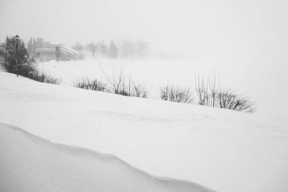 Deep snow and blowing winds beside a lake are seen in this black and white image. Bushes along the lake shore in the foreground curve around to a large building and tall trees in the background. 