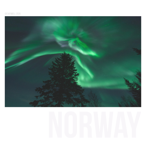 Nordlys going gangbusters overhead. Pine tree for composition.