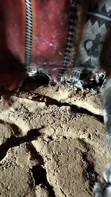 Sandy, uneven ground in dim light with the edge of a patterned red and beige carpet in the background, a portion of a gray cat on the right. We hear little squeaks. Max the cat is looking attentively at the tunnels.