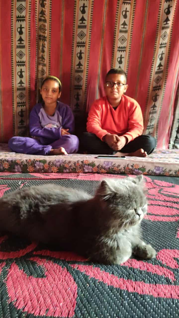 In the background, the twins Aylan (on the left) and Elias (on the right) are sitting with their legs crossed in the tent. They look shy. In the front, there is Max, a grey cat, who seems to sleep, the eyes closed.